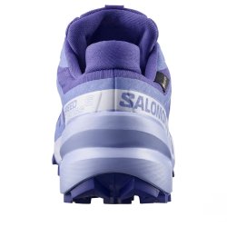 Кросівки Salomon Speedcross 6 GTX W - сині