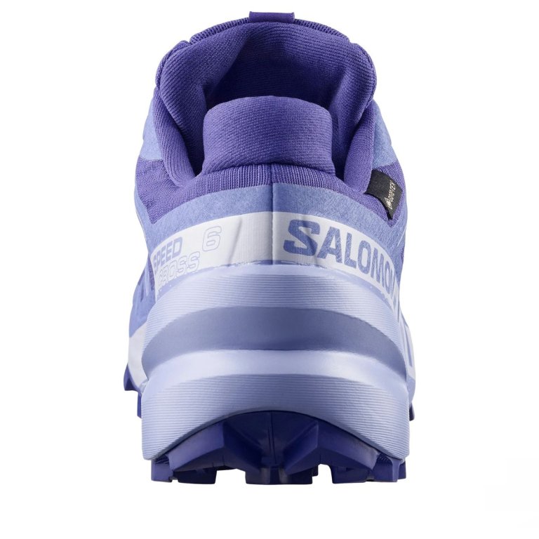 Кросівки Salomon Speedcross 6 GTX W - сині