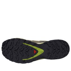 Salomon Xa Pro 3D V9 GTX M - коричнева/зелена/жовта
