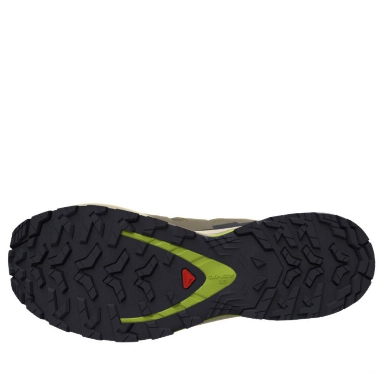 Salomon Xa Pro 3D V9 GTX M - коричнева/зелена/жовта