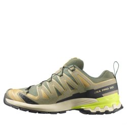 Salomon Xa Pro 3D V9 GTX M - коричнева/зелена/жовта