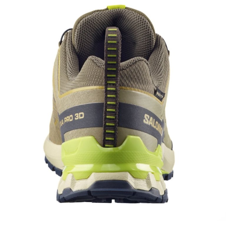 Salomon Xa Pro 3D V9 GTX M - коричнева/зелена/жовта