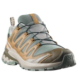 Salomon Xa Pro 3D V9 GTX M - коричнева/темно-зелена