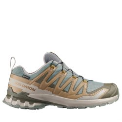 Salomon Xa Pro 3D V9 GTX M - коричнева/темно-зелена