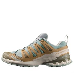 Salomon Xa Pro 3D V9 GTX M - коричнева/темно-зелена