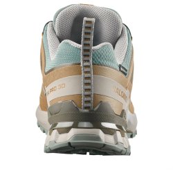 Salomon Xa Pro 3D V9 GTX M - коричнева/темно-зелена