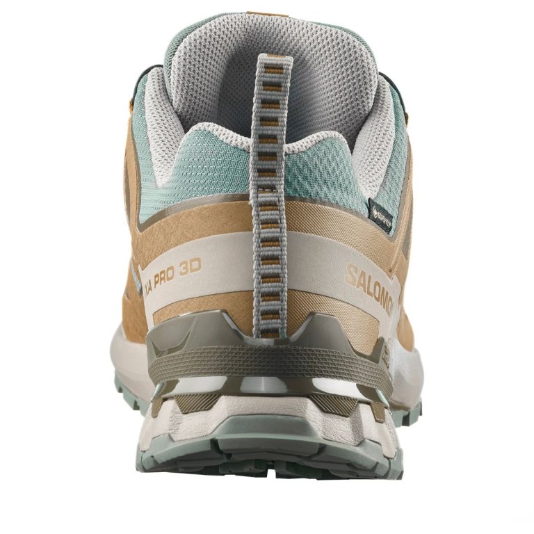 Salomon Xa Pro 3D V9 GTX M - коричнева/темно-зелена
