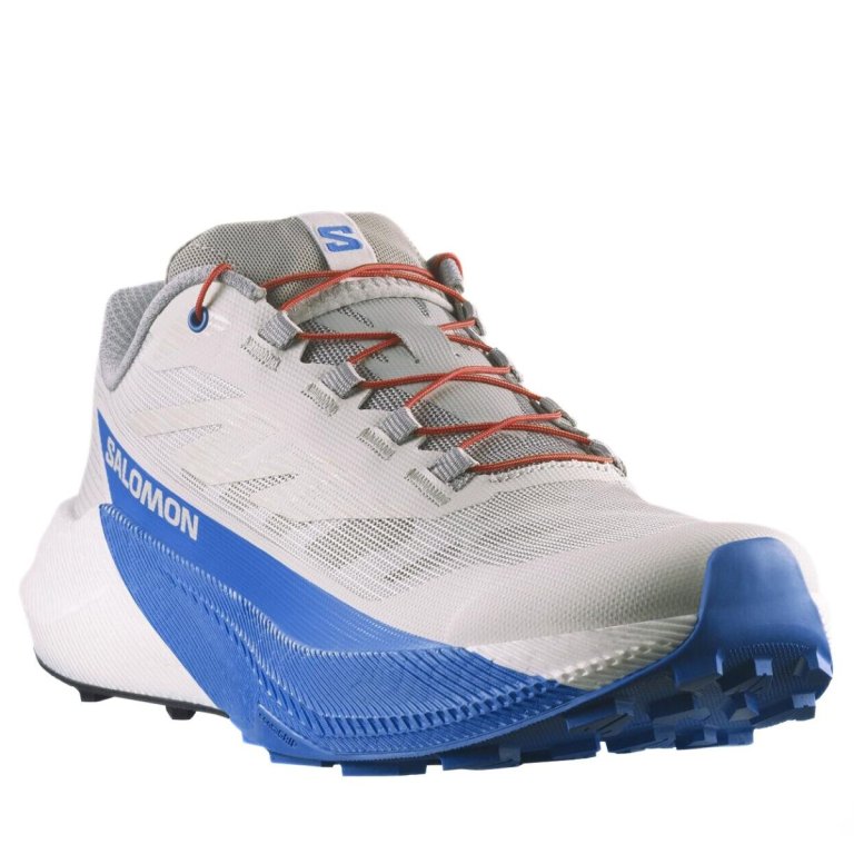 Кросівки Salomon Pulsar M - біло/сині