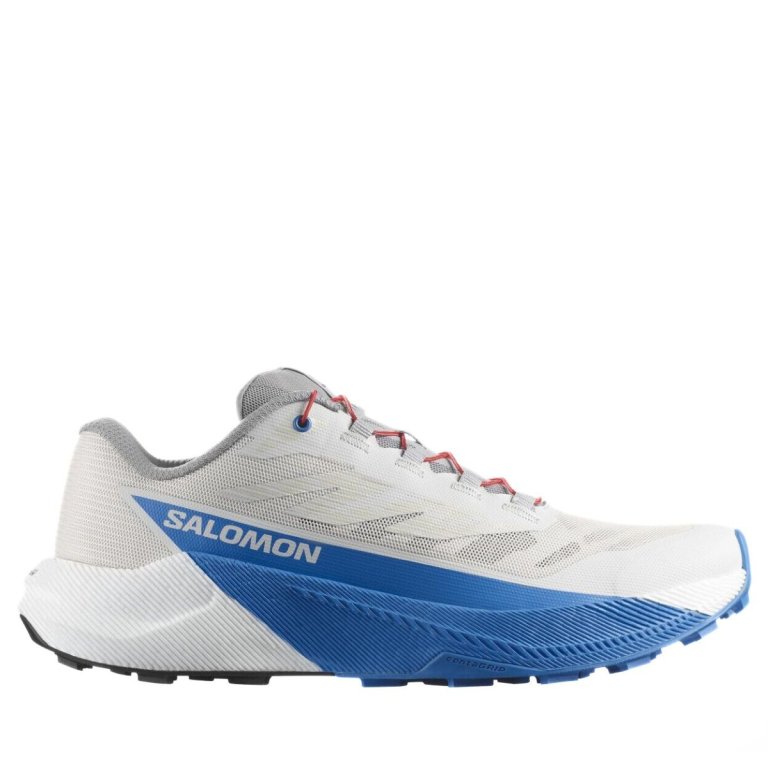 Кросівки Salomon Pulsar M - біло/сині
