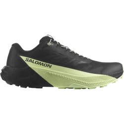 Кросівки Salomon Pulsar M - зелені