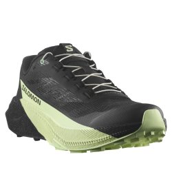Кросівки Salomon Pulsar M - зелені