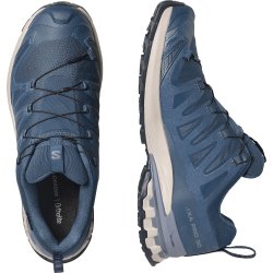 Кросівки Salomon Xa Pro 3D V9 GTX M - сині