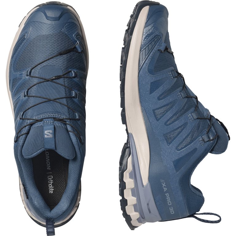Кросівки Salomon Xa Pro 3D V9 GTX M - сині