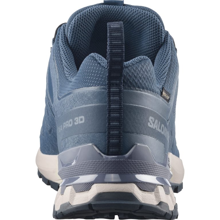Кросівки Salomon Xa Pro 3D V9 GTX M - сині