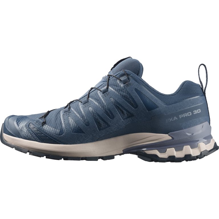 Кросівки Salomon Xa Pro 3D V9 GTX M - сині