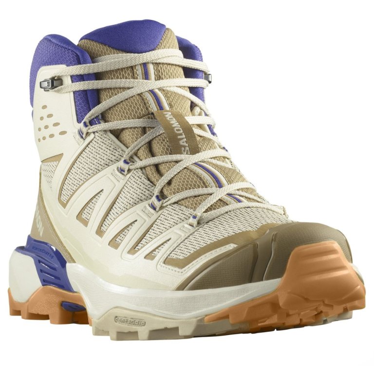Взуття Salomon X Ultra 360 Edge Mid GTX M - коричневе / бежеве / синє