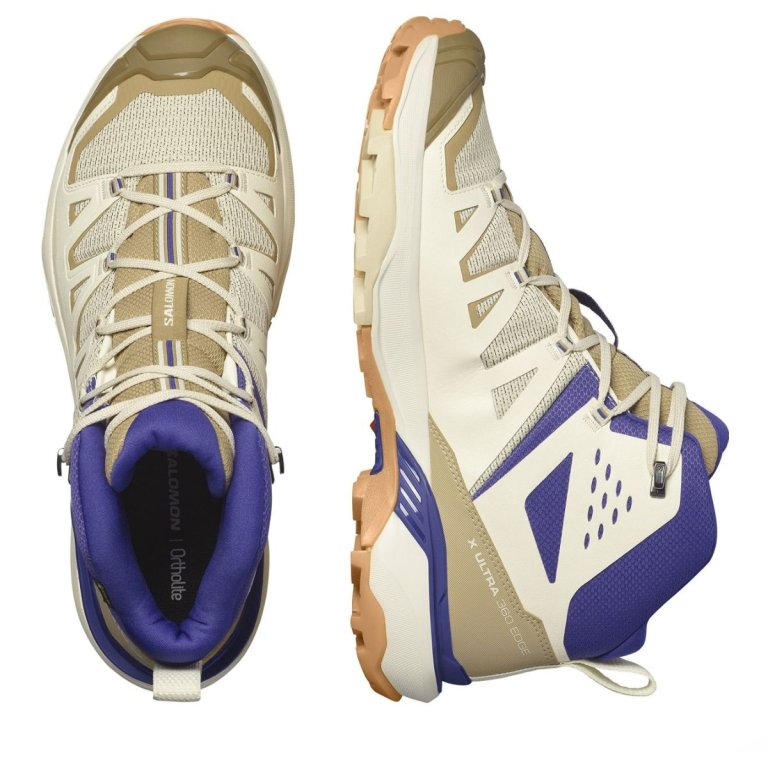 Взуття Salomon X Ultra 360 Edge Mid GTX M - коричневе / бежеве / синє