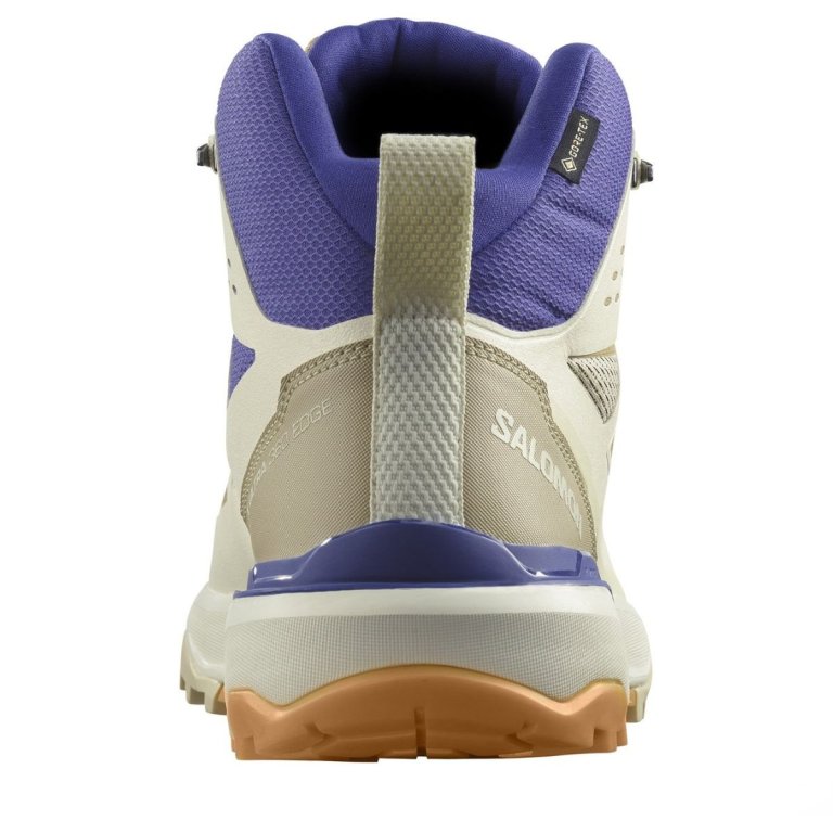 Взуття Salomon X Ultra 360 Edge Mid GTX M - коричневе / бежеве / синє