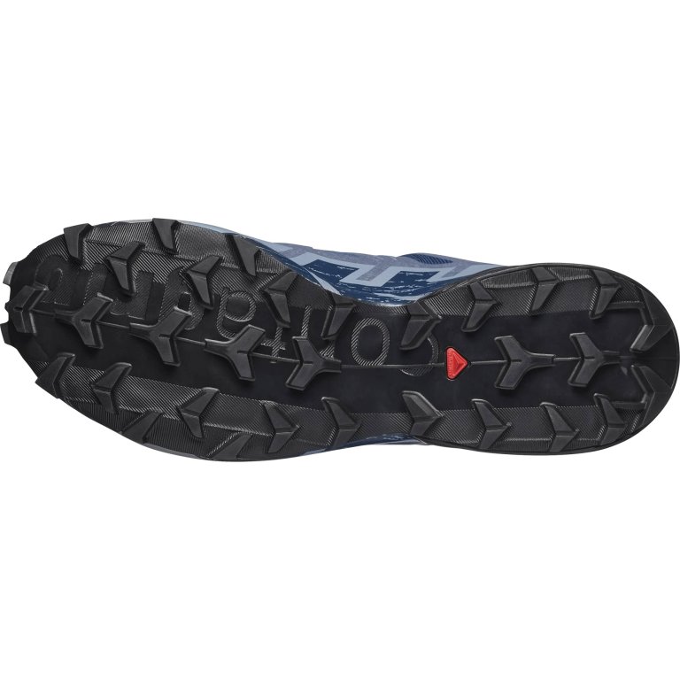 Кросівки Salomon Speedcross 6 GTX M - сині