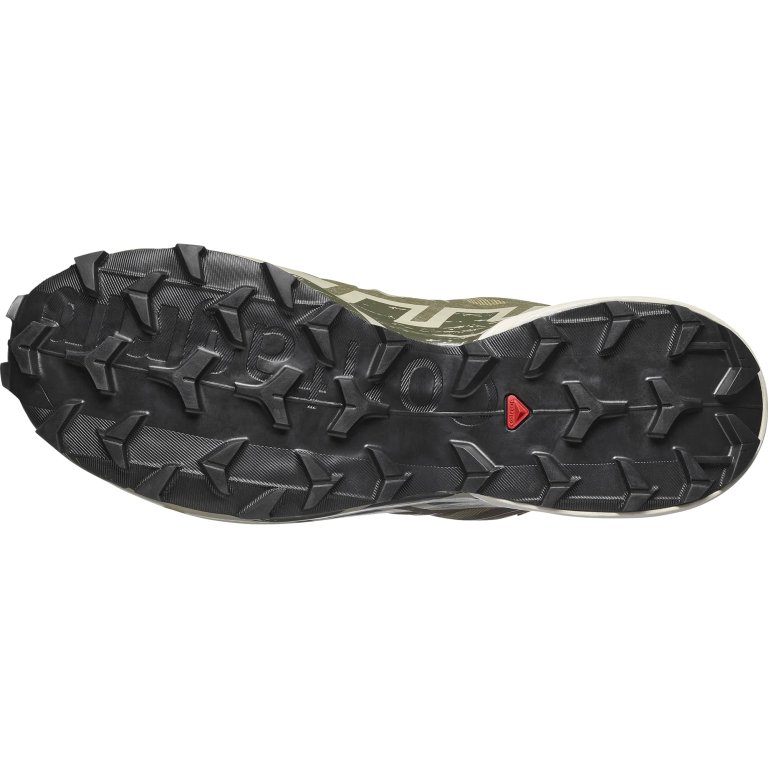 Кросівки Salomon Speedcross 6 GTX M - зелені