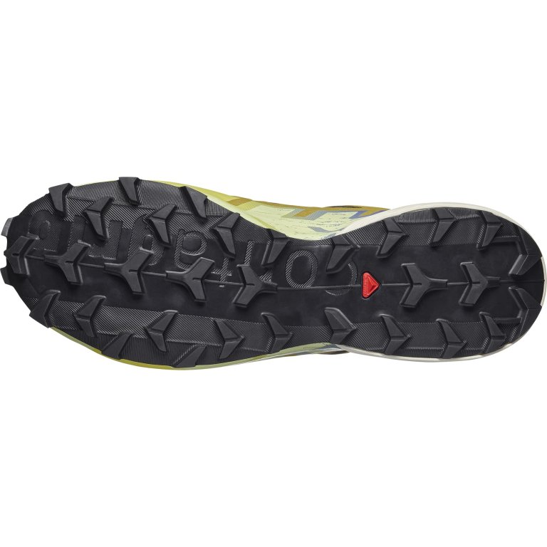 Кросівки Salomon Speedcross 6 GTX M - зелено/жовті