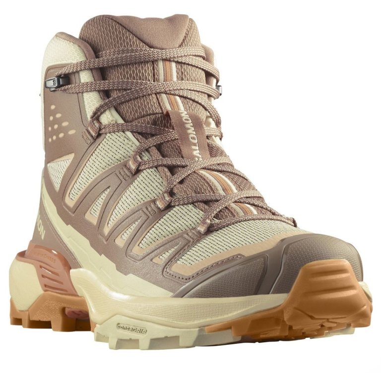 Взуття Salomon X Ultra 360 Edge Mid GTX W - помаранчевий/рожевий