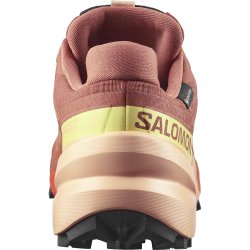 Кросівки Salomon Speedcross 6 GTX W - коричнево/помаранчеві