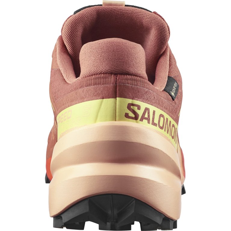 Кросівки Salomon Speedcross 6 GTX W - коричнево/помаранчеві