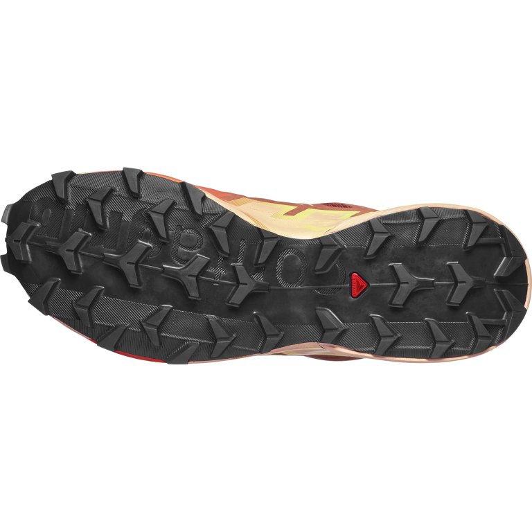 Кросівки Salomon Speedcross 6 GTX W - коричнево/помаранчеві