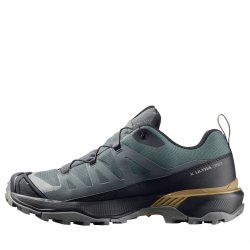 Взуття Salomon X Ultra 360 GTX M - сіро/зелене