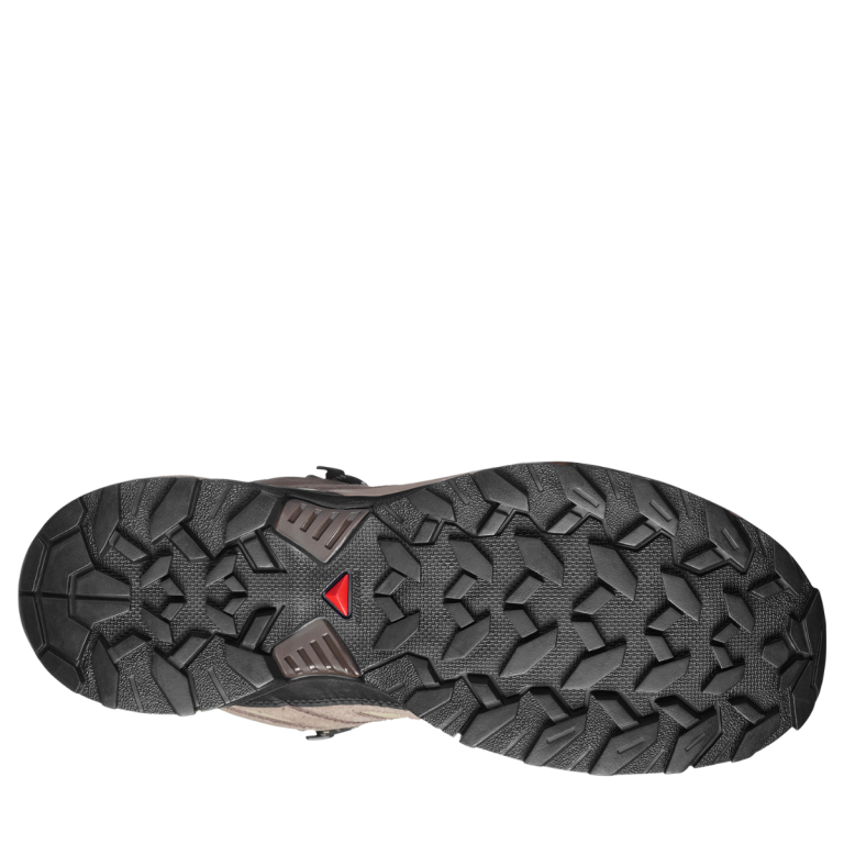 Черевики Salomon X Ultra 360 Leather Mid GTX M - бежеві