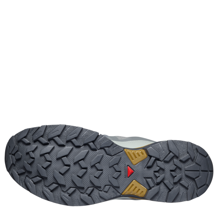 Взуття Salomon X Ultra 360 M - синьо/сіре