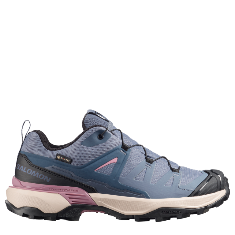 Взуття Salomon X Ultra 360 GTX W - фіолетове