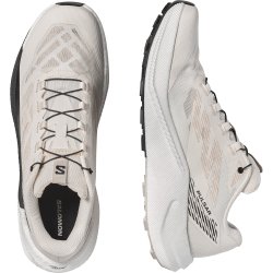Кросівки Salomon Pulsar M - біло/чорні