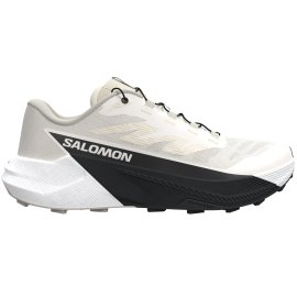 L47999900_0_VIR_PULSAR_VANILLA ICE-BLACK-SILVER CLOUD