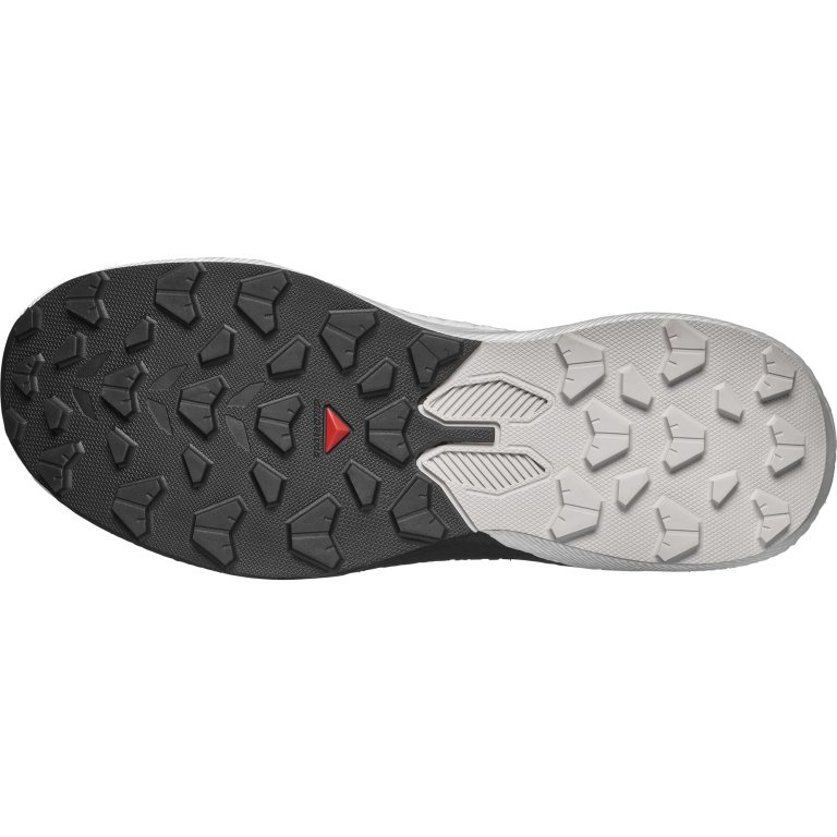 Кросівки Salomon Pulsar M - біло/чорні