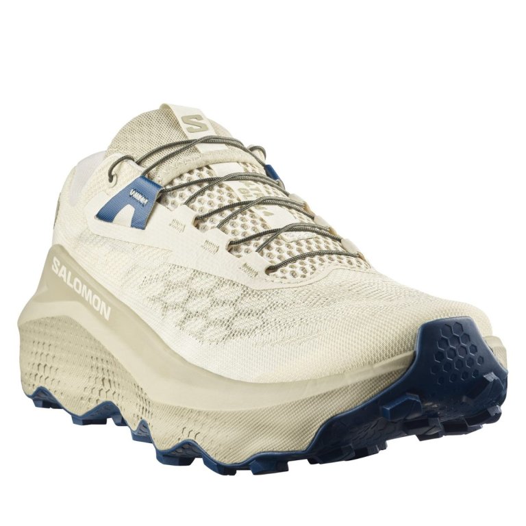 Кросівки Salomon Ultra Glide 4 M - бежево/сині
