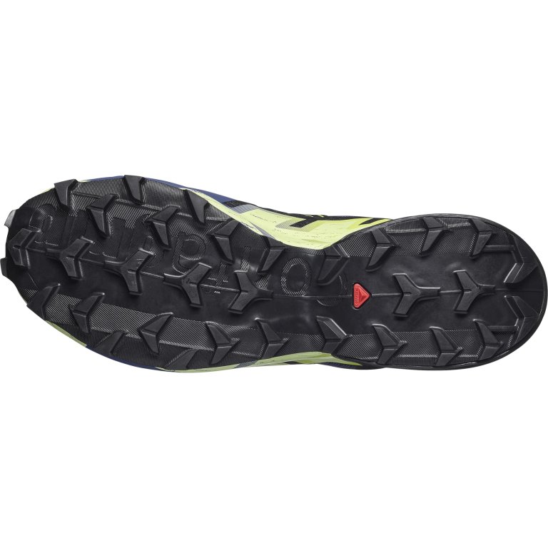 Кросівки Salomon Speedcross 6 M - синьо/жовті