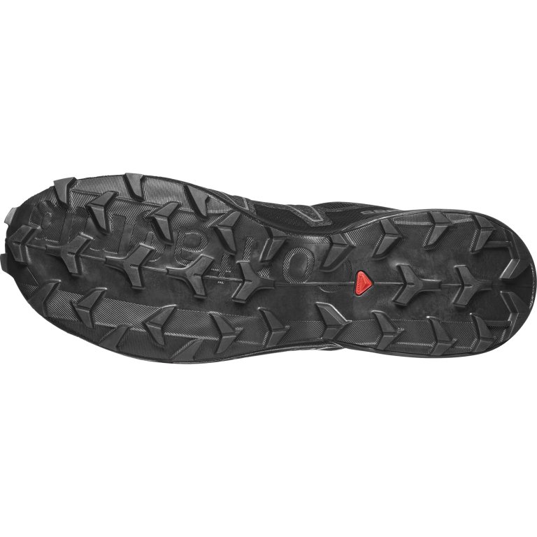 Кросівки Salomon Speedcross 6 GTX 20 Years - чорні