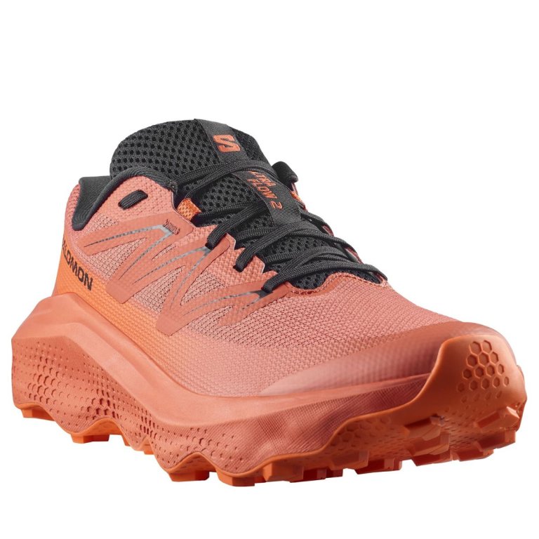 Кросівки Salomon Ultra Flow 2 M - чорні