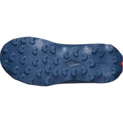 Кросівки Salomon Ultra Flow 2 M - сині