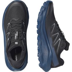Кросівки Salomon Ultra Flow 2 M - сині