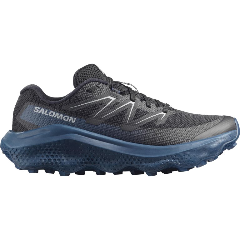 Кросівки Salomon Ultra Flow 2 M - сині