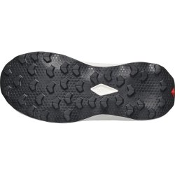 Кросівки Salomon Ultra Flow 2 W - сині