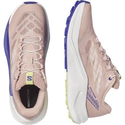 Кросівки Salomon Pulsar W - сині