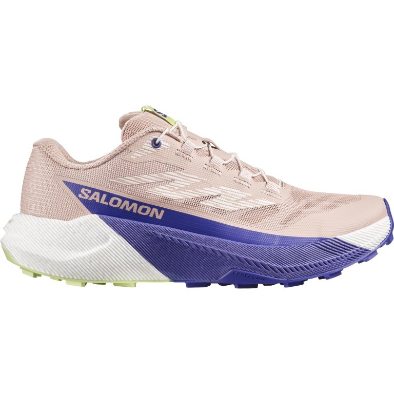 Кросівки Salomon Pulsar W - сині