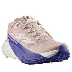 Кросівки Salomon Pulsar W - сині