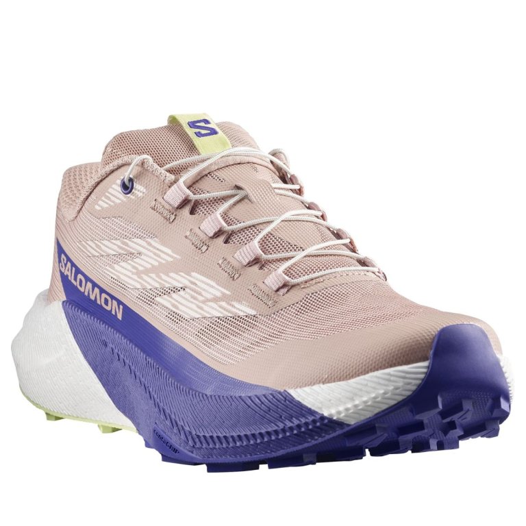 Кросівки Salomon Pulsar W - сині