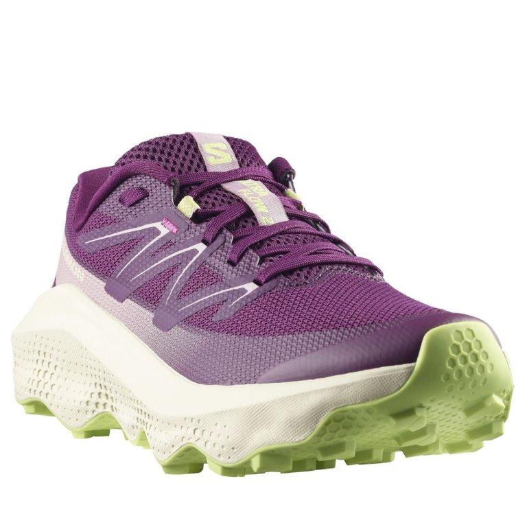 Кросівки Salomon Ultra Flow 2 W - фіолетові