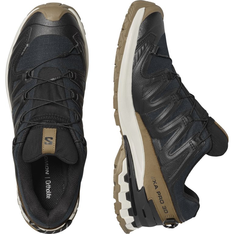 Кросівки Salomon Xa Pro 3D V9 GTX Lifelong M - коричневі
